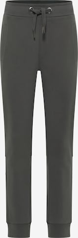 regular Pantaloni sportivi 'Jarin' di Elbsand in grigio: frontale