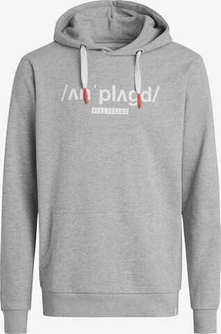 Five Fellas Sweatshirt 'Stanley' in Grey: front