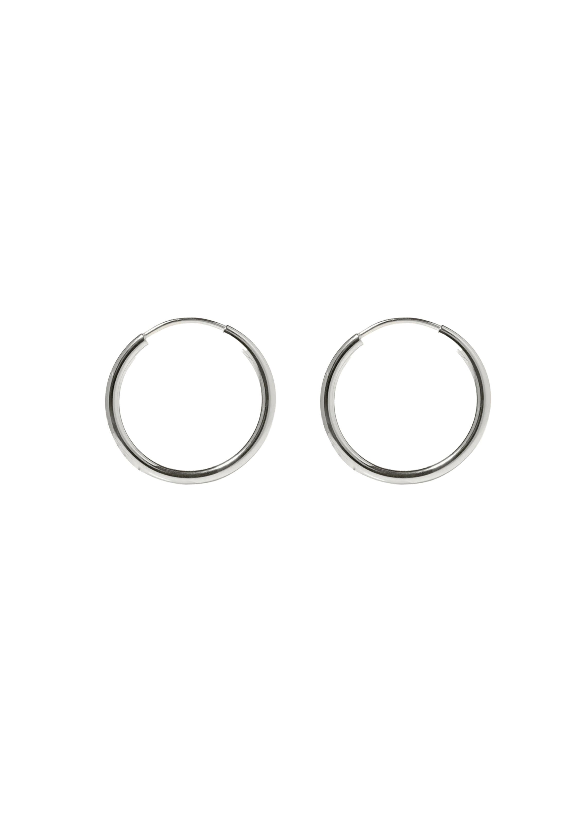 Stilnest Earrings in Silver