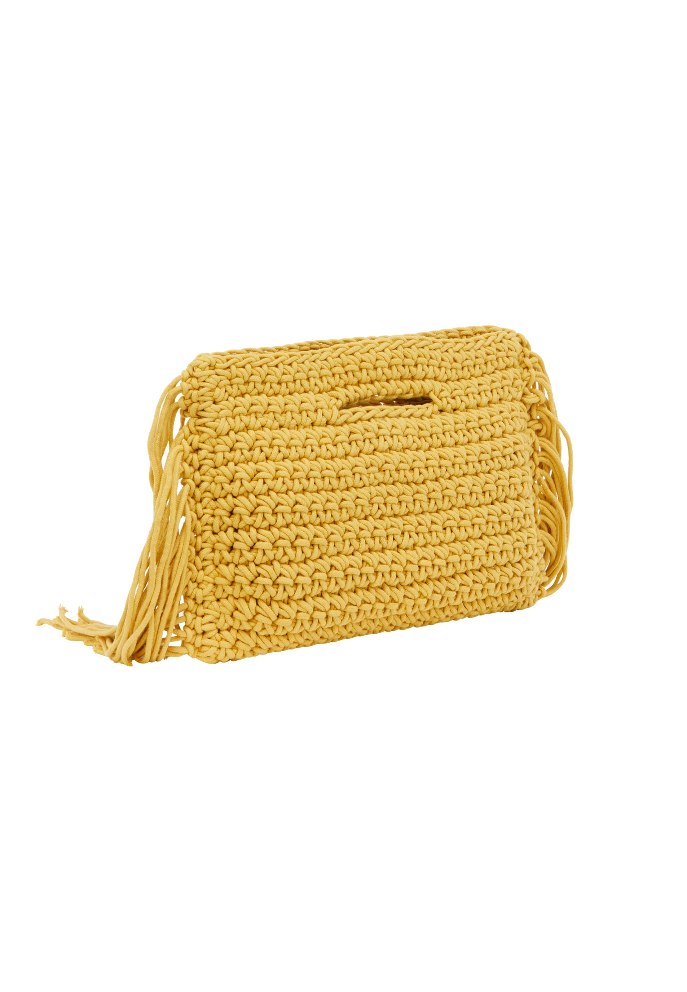 geltona ebeeza Delninė