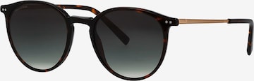Marc O'Polo EYEWEAR Sunglasses in Brown: front