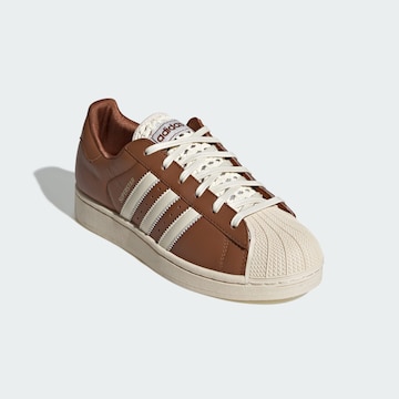 Baskets basses 'Superstar II' ADIDAS ORIGINALS en marron