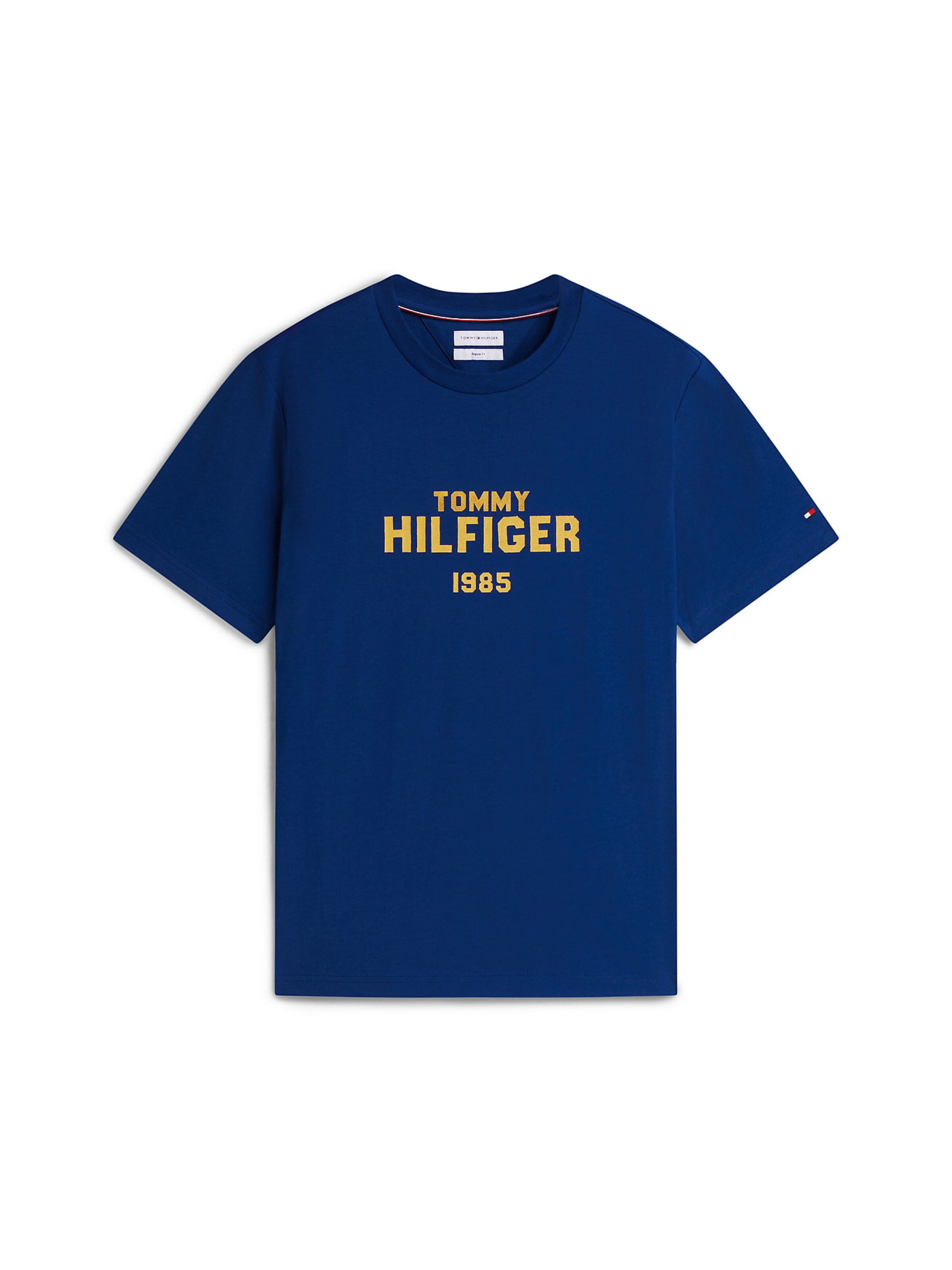 TOMMY HILFIGER Shirt in Blue: front