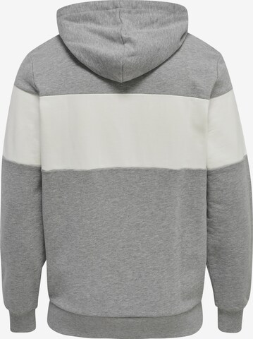 Hummel Sports sweatshirt 'Musa' in Grey