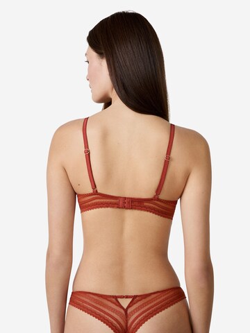 ETAM Push-up Bra 'Aura' in Brown