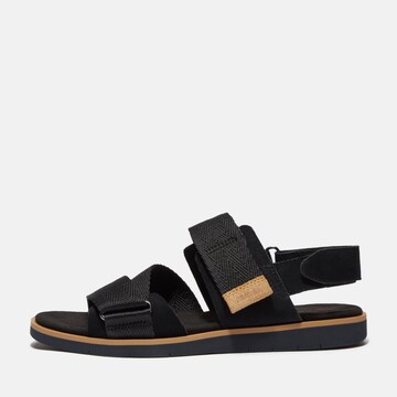 TIMBERLAND Sandals in Black