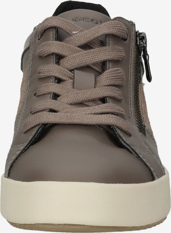 Sneaker bassa di GEOX in marrone