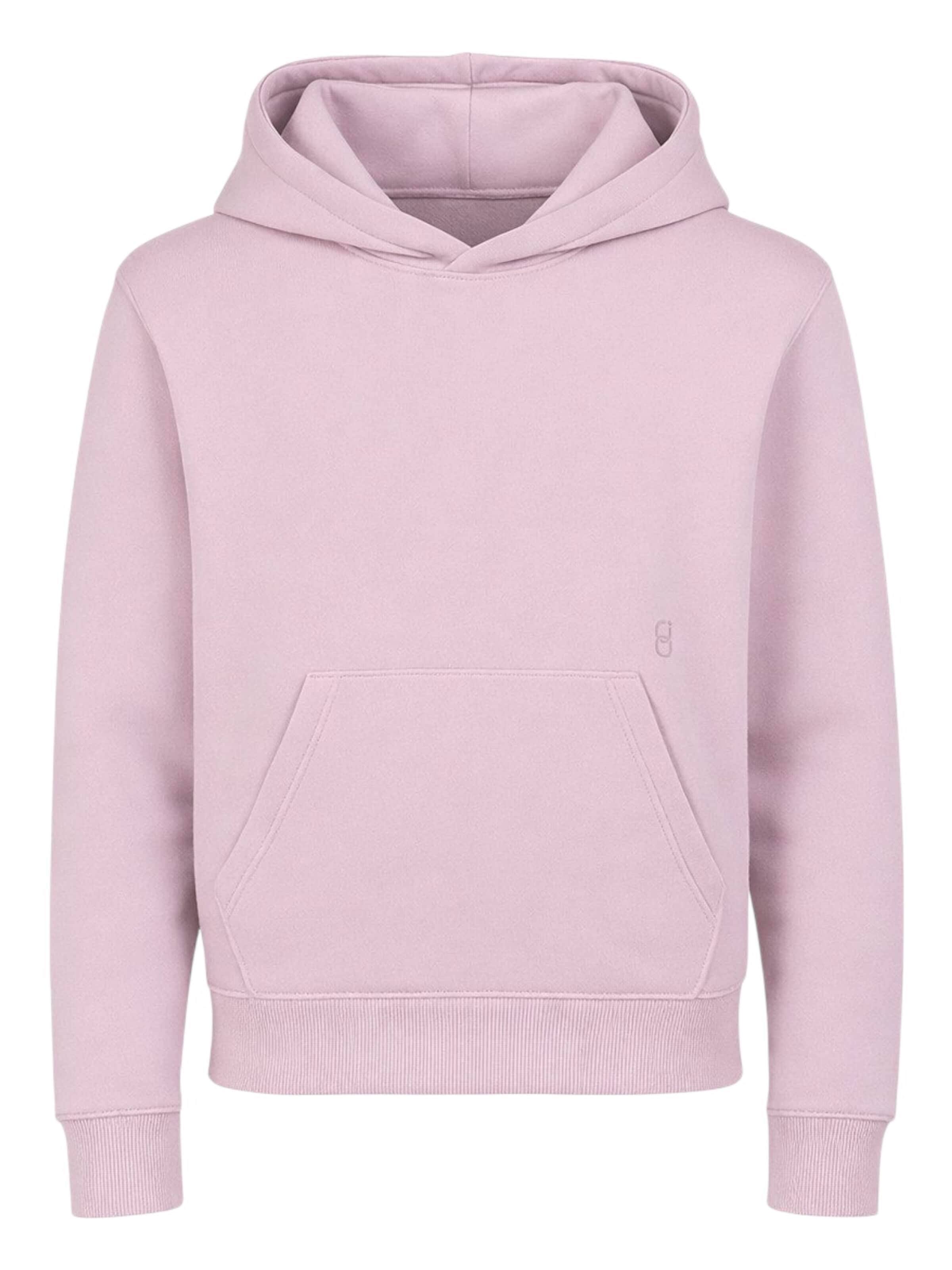 GRUNT Sweatshirt 'GRSYN Hood Sweat von GRUNT' in Pink: front