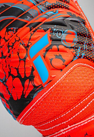 REUSCH Sporthandschoenen 'Attrakt Solid' in Blauw