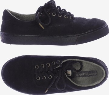 Flamingos' Life Sneakers & Trainers in 37 in Black: front