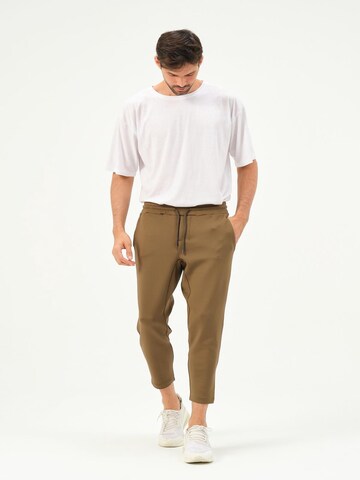C&City Tapered Trousers in Green