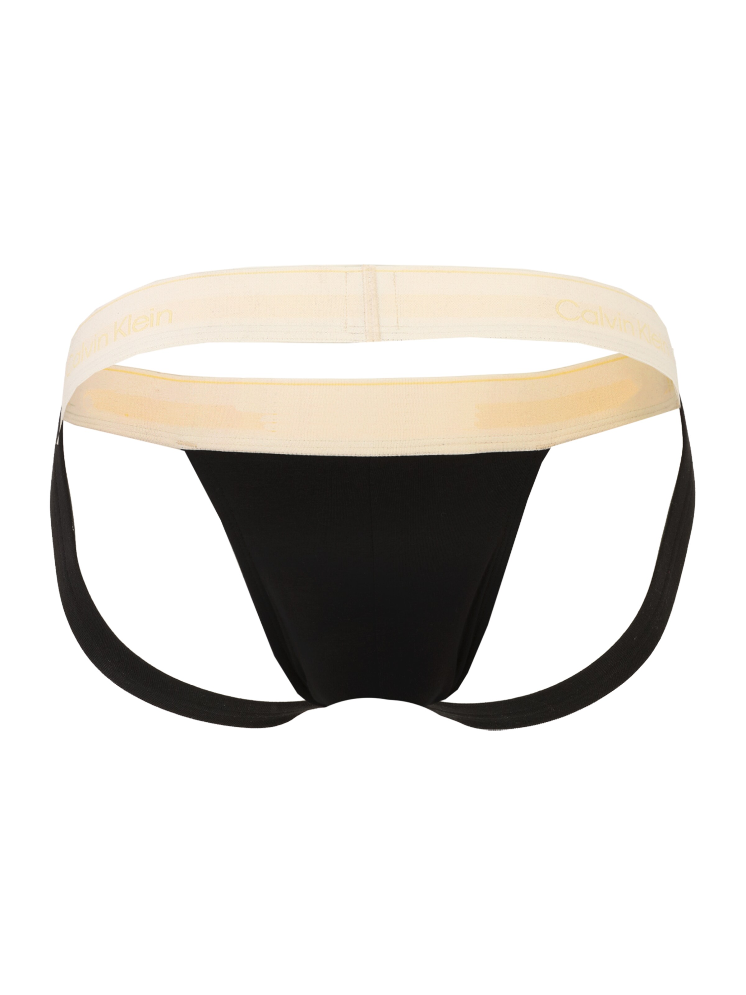 Calvin Klein Underwear Slip in Black