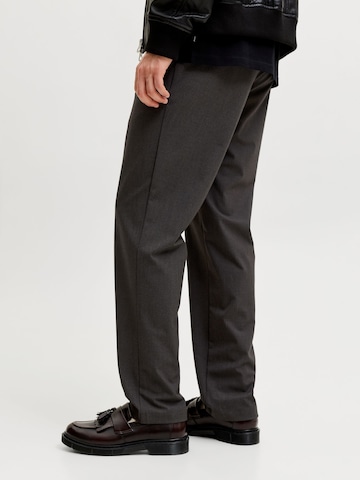 JACK & JONES Regular Chino 'JPSTollie Connor' in Bruin