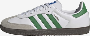 Baskets basses ' Samba OG ' ADIDAS ORIGINALS en blanc : devant