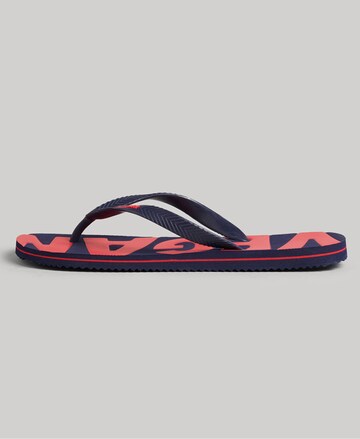 Superdry T-Bar Sandals in Blue