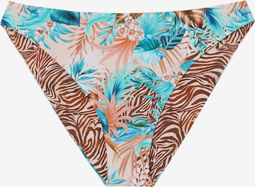 CALZEDONIA Bikini Bottoms 'Wild Foliage' in Green: front