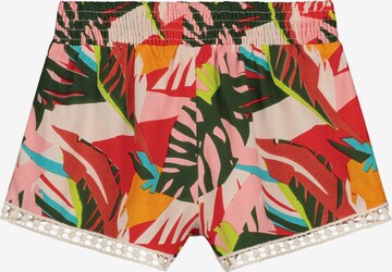 Regular Pantalon Shiwi en mélange de couleurs