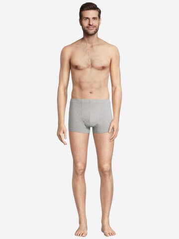 SEIDENSTICKER Boxer shorts 'Pur' in Mixed colours