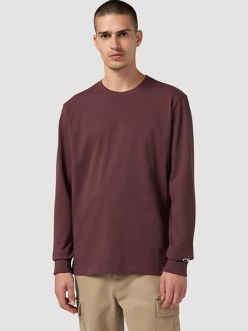 Champion Sweatshirt in Brown