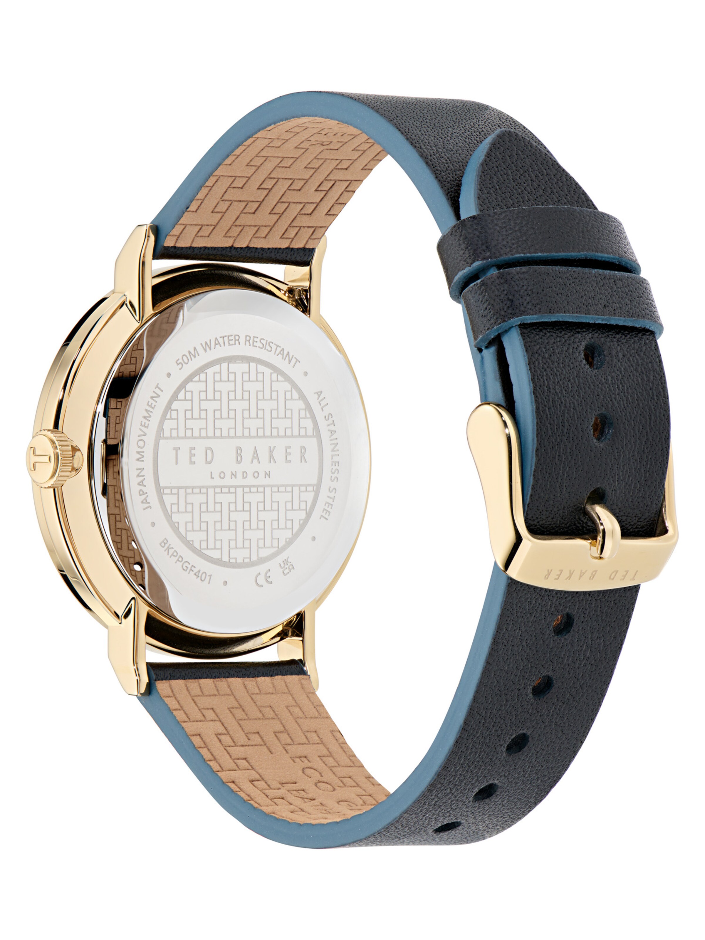 Ted Baker Analog watch 'PHYLIPA' in Black