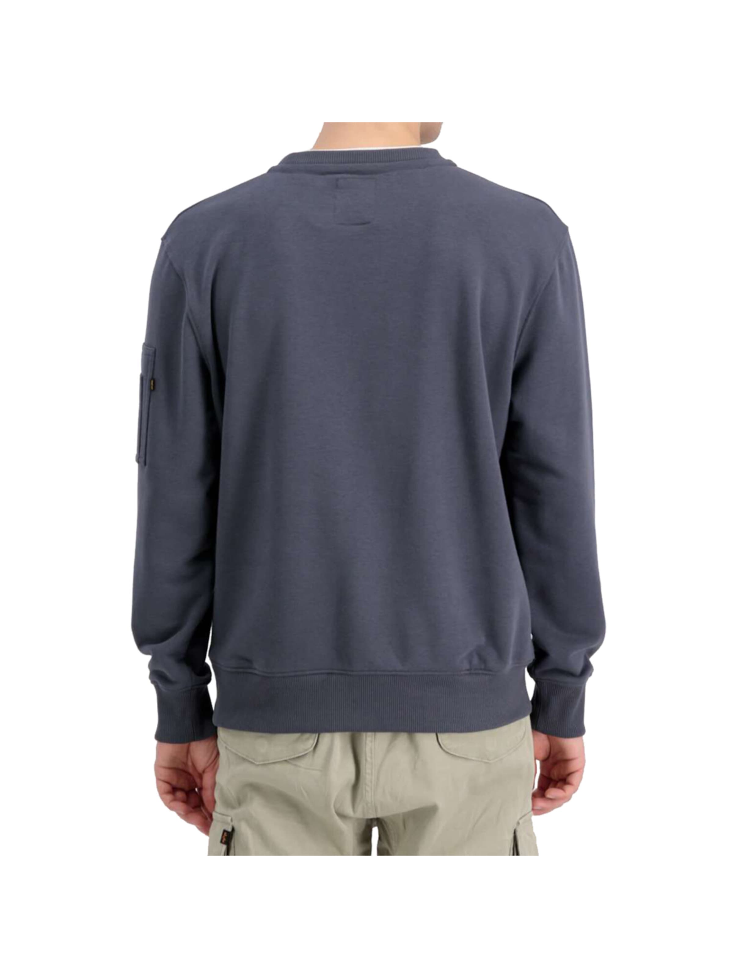 ALPHA INDUSTRIES Sweatshirt 'Double Layer'‌‌‌‌‌ in Grau