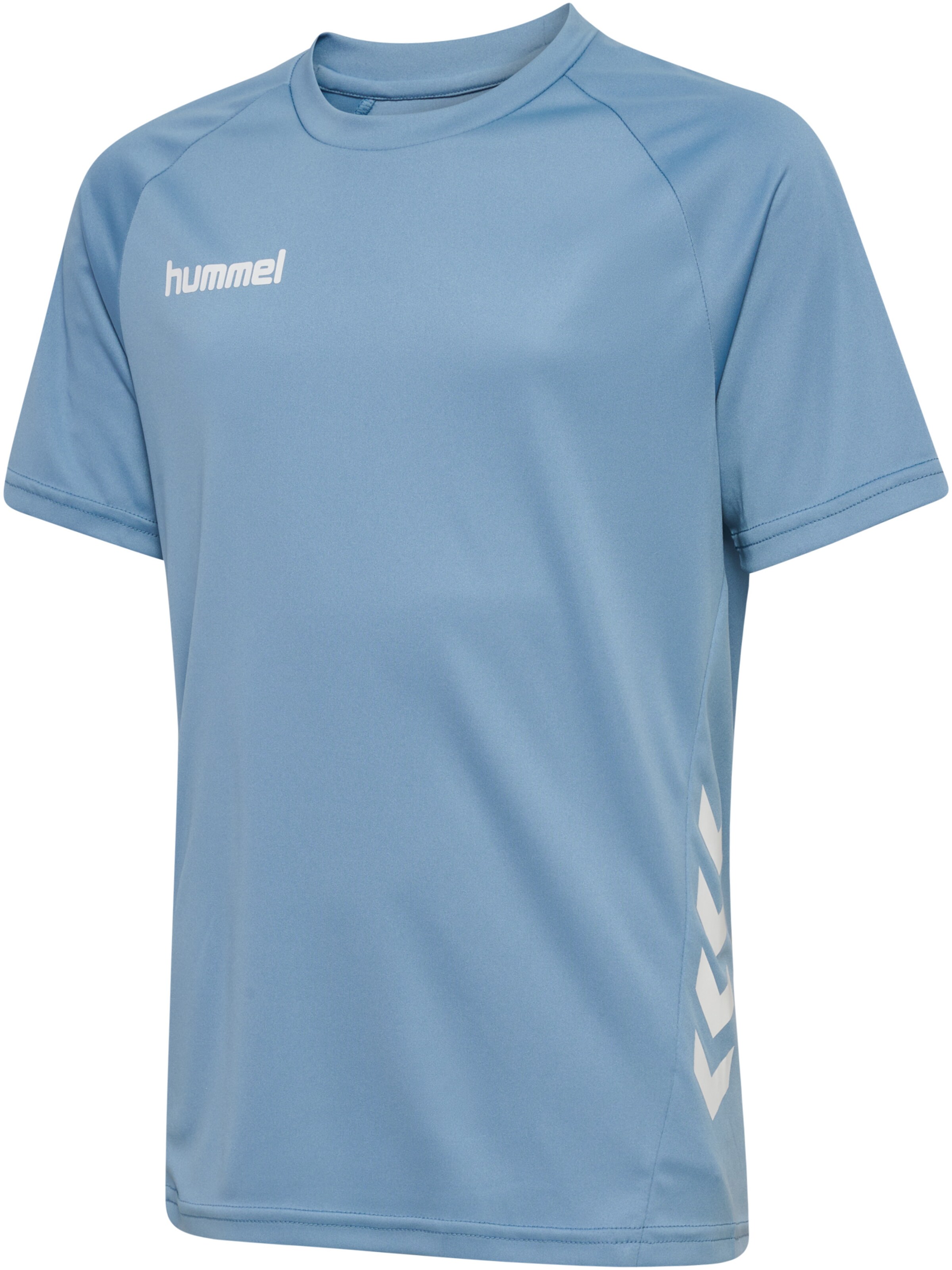 Hummel Trainingspak 'Promo' in Blauw