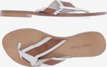 Candice Cooper Sandals & High-Heeled Sandals in 36 in Brown: front