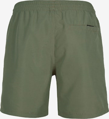 Pantaloncini da surf 'Cali' di O'NEILL in verde