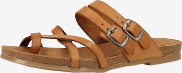 COSMOS COMFORT T-Bar Sandals in Beige: front