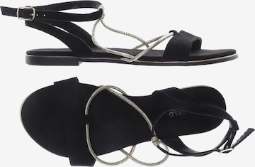 Anna Field Sandalen 37 in Schwarz: predná strana