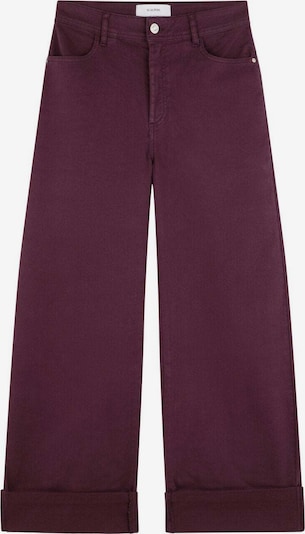 Scalpers Farkut ' ' värissä lila / purppura, Tuotenäkymä