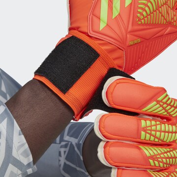ADIDAS SPORTSWEAR Sportovní rukavice 'Predator Edge Match Goalkeeper' – oranžová