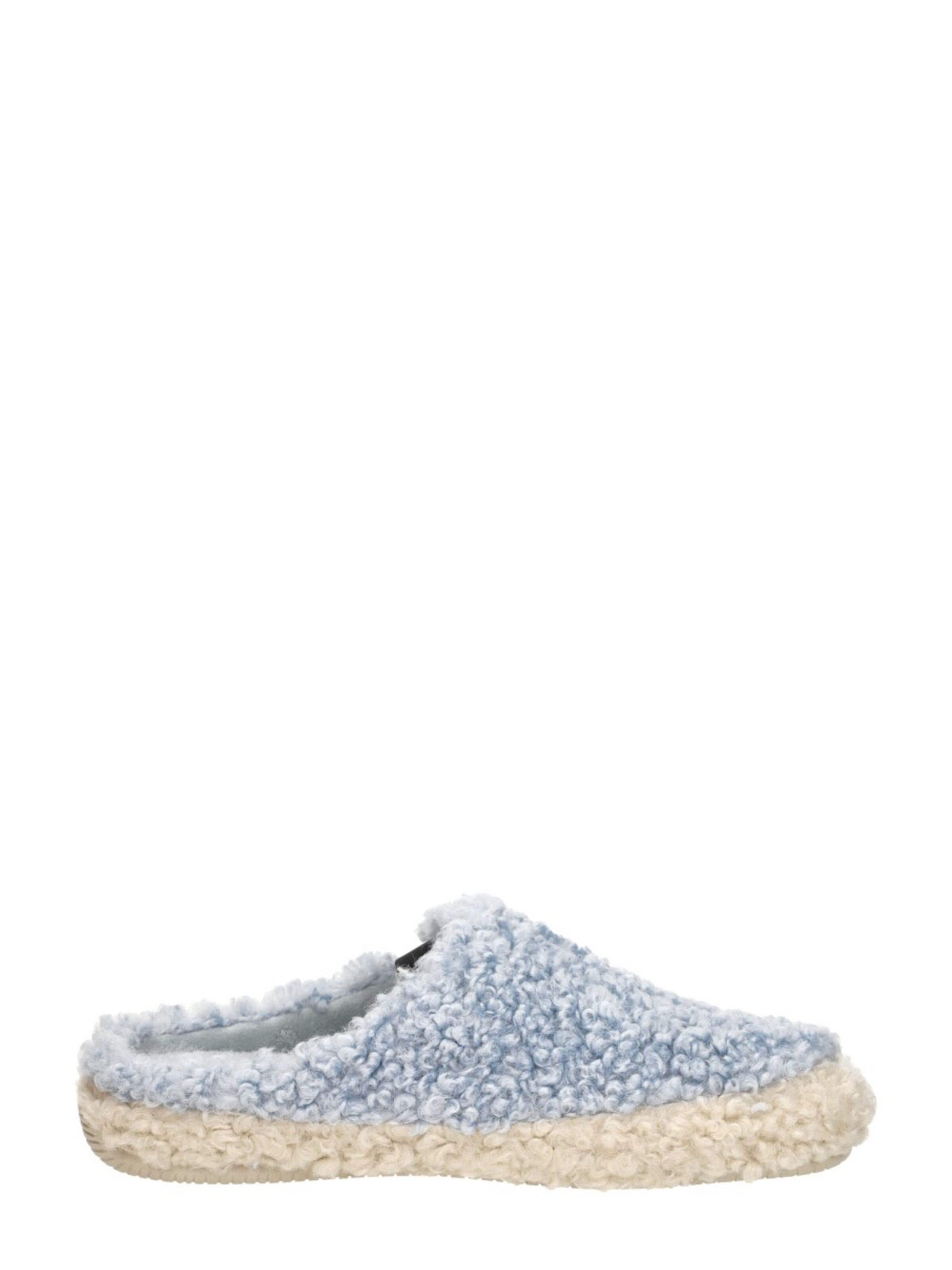 VERBENAS Slipper 'Yuma Curly' in Blue