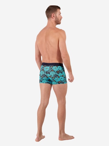 HOM Boxer shorts 'Funky Style HO1' in Blue