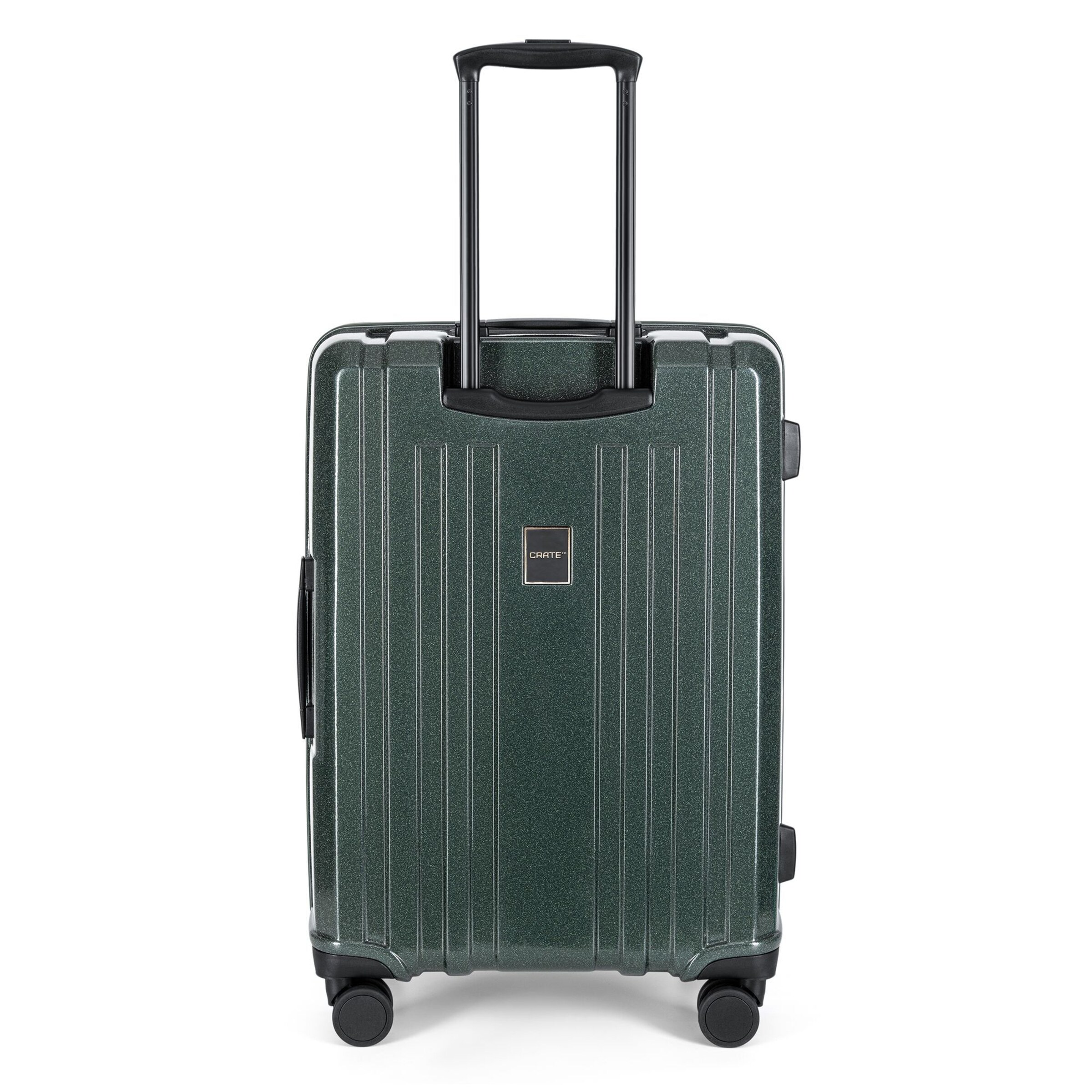Epic Suitcase Set in Green