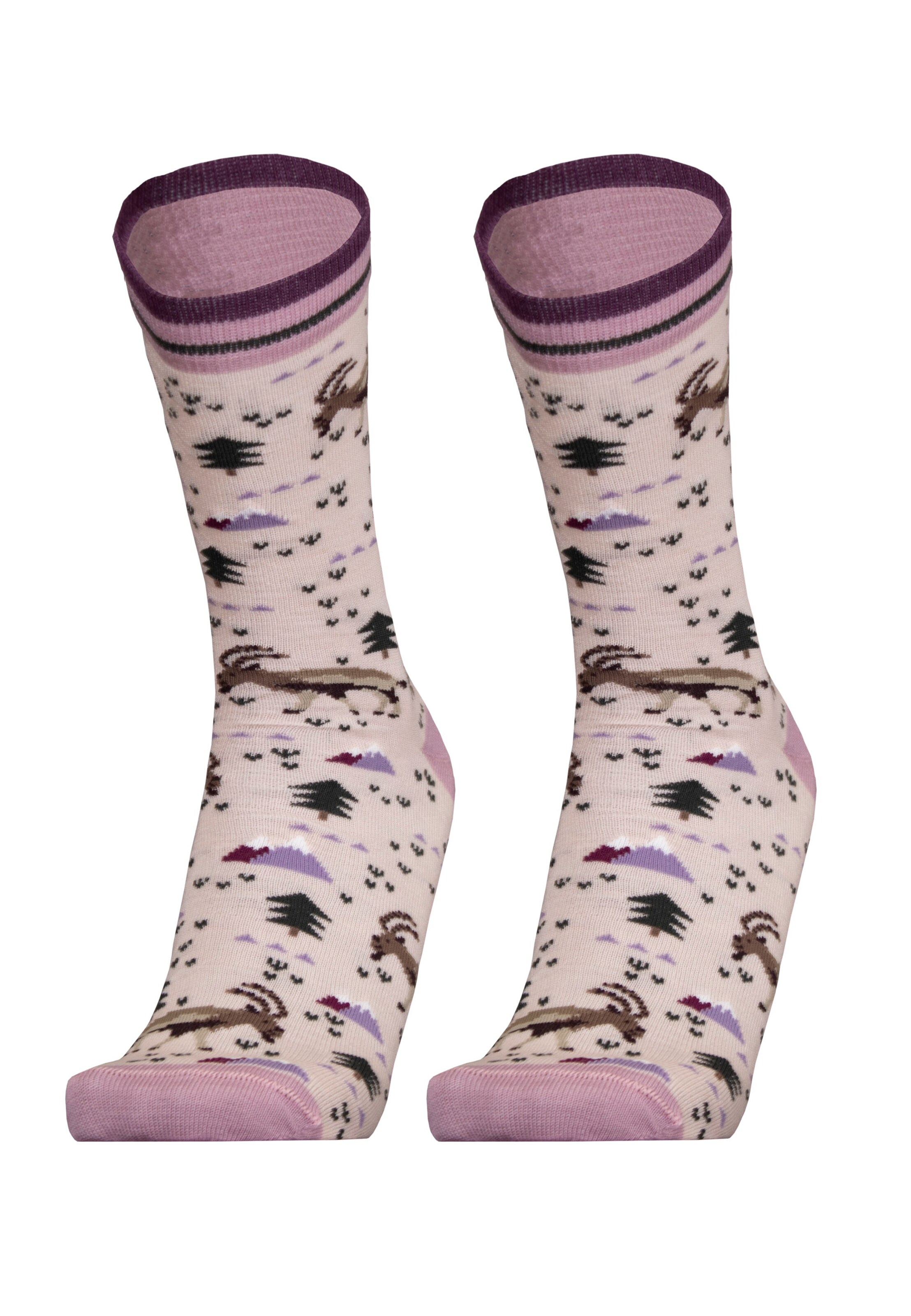 UphillSport Socken 'IBEX' in Lila
