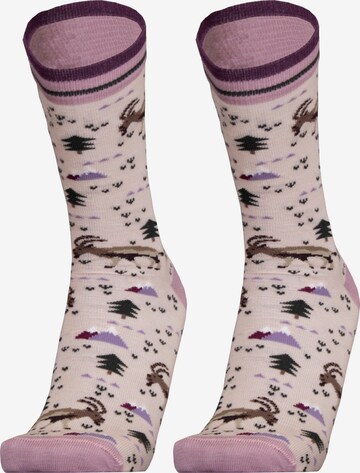 UphillSport Socks 'IBEX' in Purple