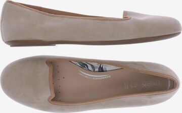 GEOX Flats & Loafers in 39 in Beige: front