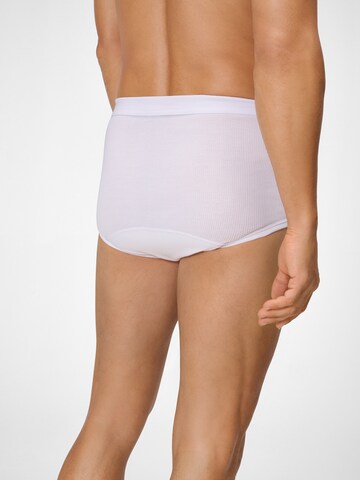 Ammann Slip ' 433 Doppelripp ' in White