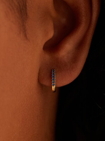 Boucles d'oreilles Lucardi en or : devant