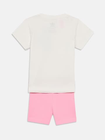 ADIDAS ORIGINALS Set in Roze