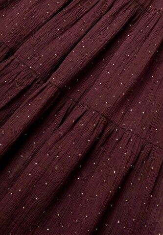 Robe usha BLACK LABEL en marron