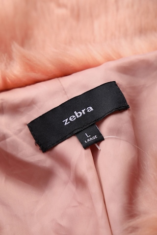 ZEBRA Jacket & Coat in L in Pink