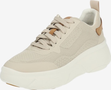 Baskets basses GEOX en beige : devant