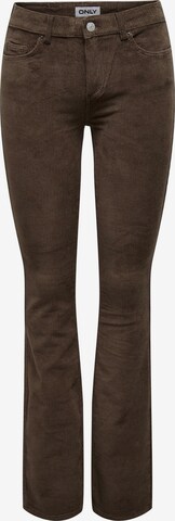 ONLY Flared Pants in Brown: front