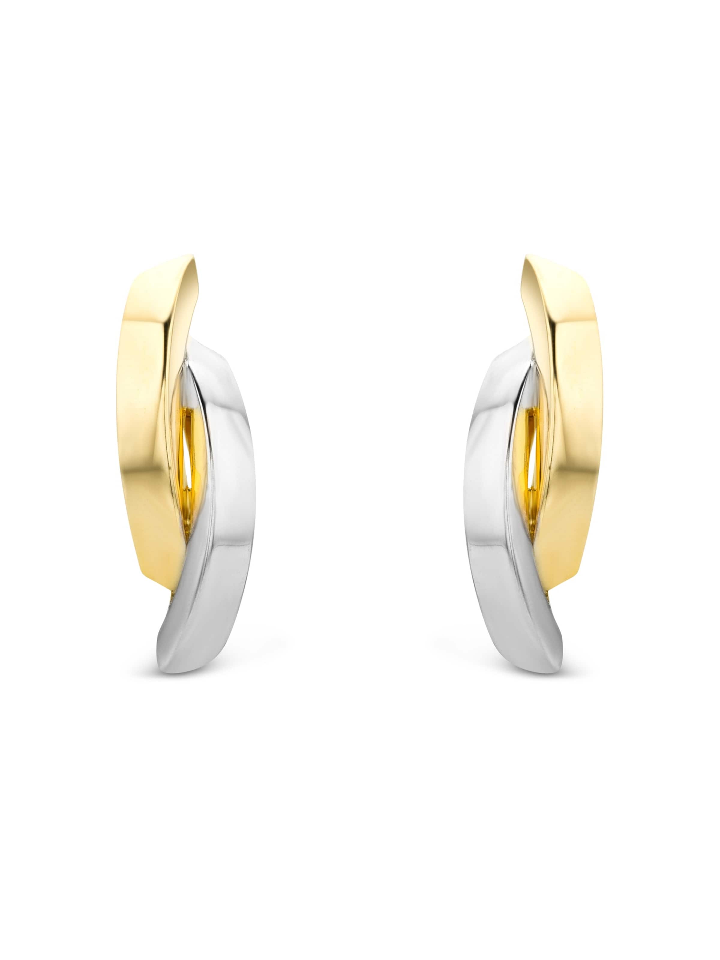 DIAMANT LETERNEL Earrings in Gold: front