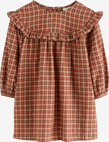 Next Dress in Brown: front