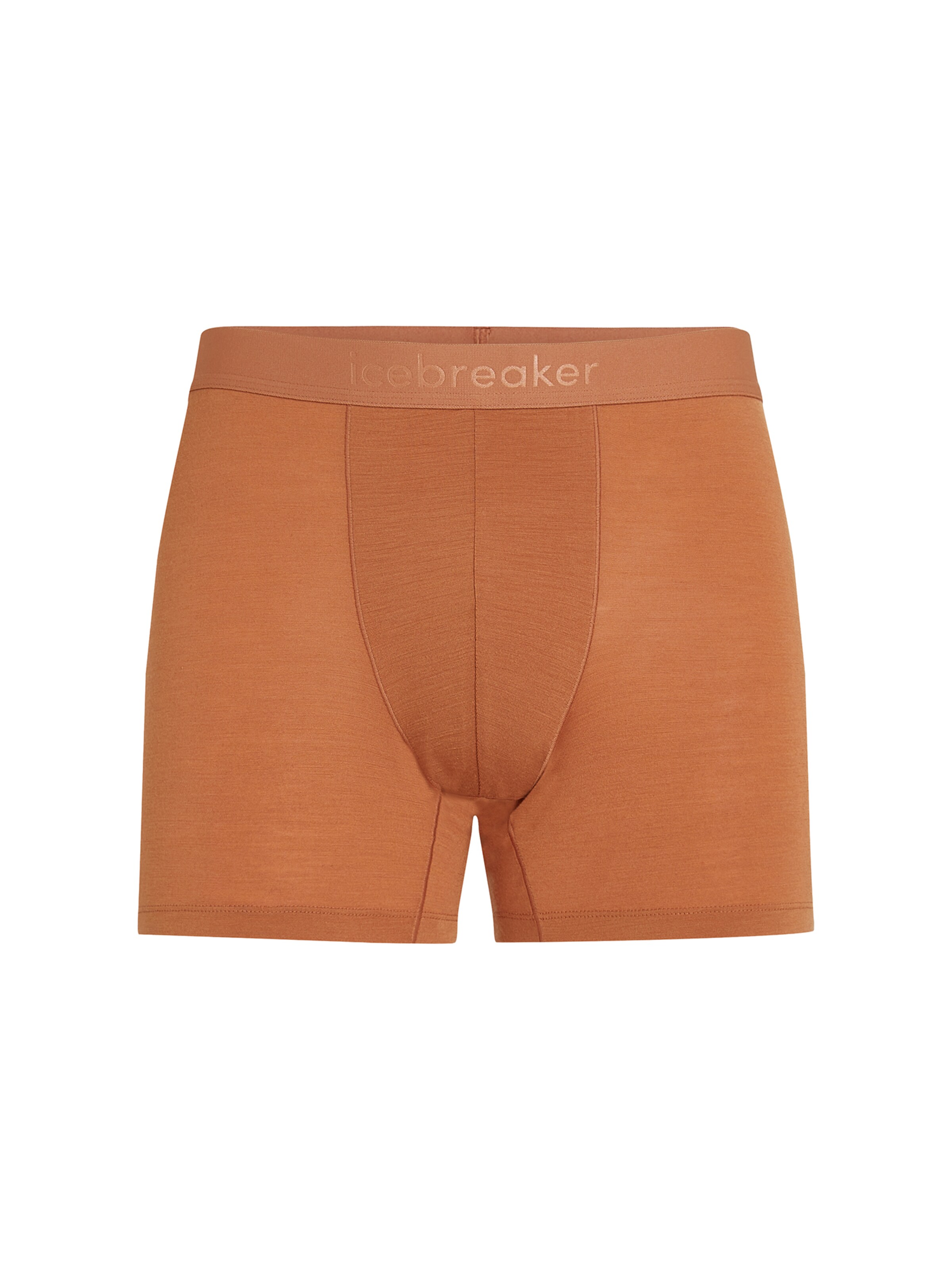 Boxer 'M Mer 125 Cool-Lite Anatomica Boxers' di ICEBREAKER in blu: frontale