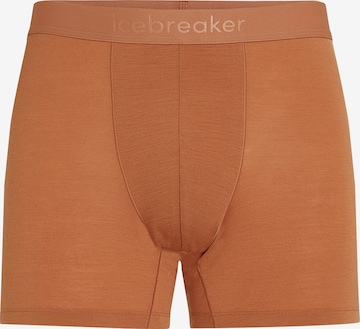 ICEBREAKER - Calzoncillo boxer 'M Mer 125 Cool-Lite Anatomica Boxers' en naranja: frente