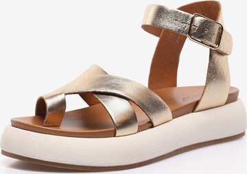 INUOVO Strap Sandals in Gold: front